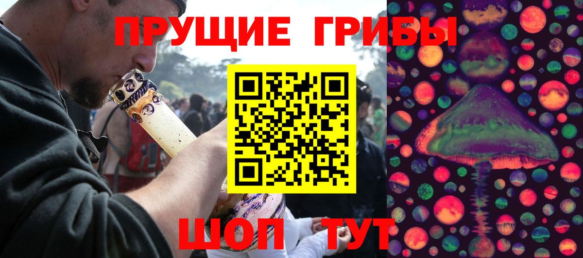 Калуга  Псилоцибиновые грибы Psilocybine cubensis  Вход с VPN  Галлюциногенные грибы мицелий 
